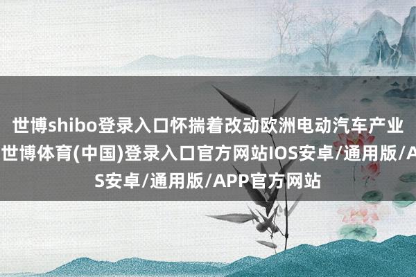 世博shibo登录入口怀揣着改动欧洲电动汽车产业样式的梦思-世博体育(中国)登录入口官方网站IOS安卓/通用版/APP官方网站