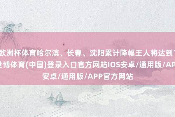 欧洲杯体育哈尔滨、长春、沈阳累计降幅王人将达到15℃以上-世博体育(中国)登录入口官方网站IOS安卓/通用版/APP官方网站