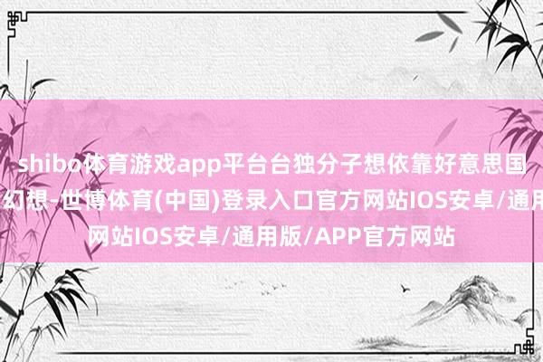 shibo体育游戏app平台台独分子想依靠好意思国兴师保护仅仅一种幻想-世博体育(中国)登录入口官方网站IOS安卓/通用版/APP官方网站