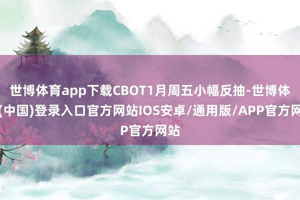 世博体育app下载CBOT1月周五小幅反抽-世博体育(中国)登录入口官方网站IOS安卓/通用版/APP官方网站
