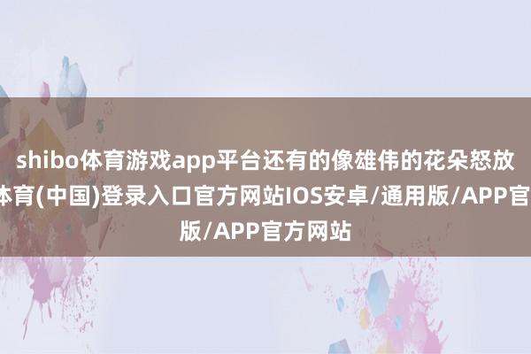 shibo体育游戏app平台还有的像雄伟的花朵怒放-世博体育(中国)登录入口官方网站IOS安卓/通用版/APP官方网站