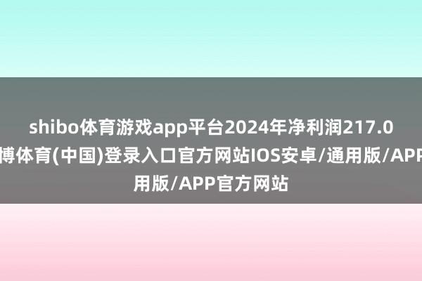 shibo体育游戏app平台2024年净利润217.04亿元-世博体育(中国)登录入口官方网站IOS安卓/通用版/APP官方网站