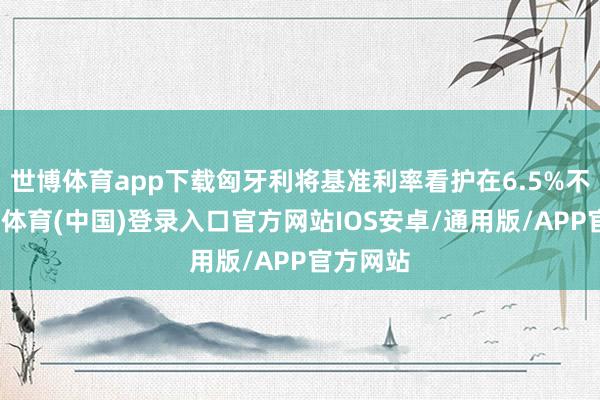 世博体育app下载匈牙利将基准利率看护在6.5%不变-世博体育(中国)登录入口官方网站IOS安卓/通用版/APP官方网站
