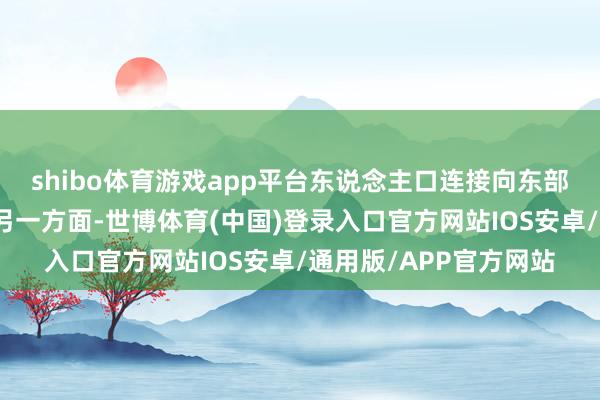 shibo体育游戏app平台东说念主口连接向东部沿海融会城市汇聚；另一方面-世博体育(中国)登录入口官方网站IOS安卓/通用版/APP官方网站