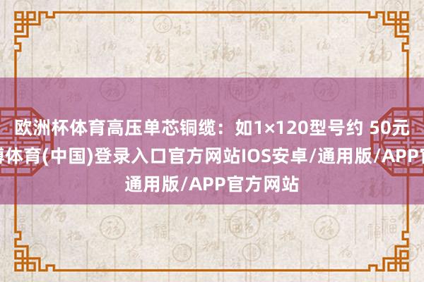 欧洲杯体育高压单芯铜缆:如1×120型号约 50元/米-世博体育(中国)登录入口官方网站IOS安卓/通用版/APP官方网站