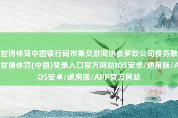 世博体育中国银行间市集交游商协会罗致公司债务融资用具注册-世博体育(中国)登录入口官方网站IOS安卓/通用版/APP官方网站