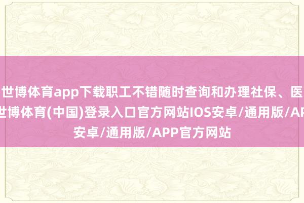 世博体育app下载职工不错随时查询和办理社保、医保等事务-世博体育(中国)登录入口官方网站IOS安卓/通用版/APP官方网站