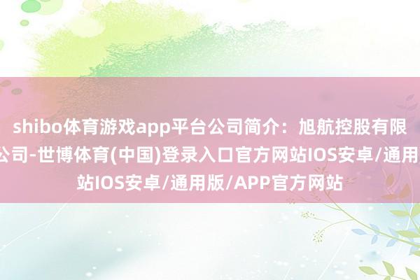 shibo体育游戏app平台公司简介：旭航控股有限公司是一家控股公司-世博体育(中国)登录入口官方网站IOS安卓/通用版/APP官方网站