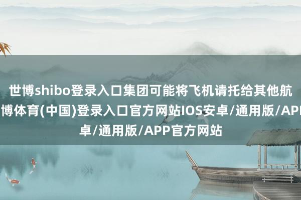 世博shibo登录入口集团可能将飞机请托给其他航空公司-世博体育(中国)登录入口官方网站IOS安卓/通用版/APP官方网站