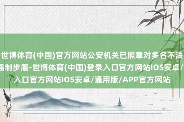 世博体育(中国)官方网站公安机关已照章对多名不法嫌疑东谈主摄取刑事强制步履-世博体育(中国)登录入口官方网站IOS安卓/通用版/APP官方网站
