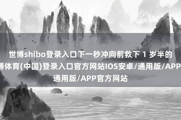 世博shibo登录入口下一秒冲向前救下 1 岁半的妹妹-世博体育(中国)登录入口官方网站IOS安卓/通用版/APP官方网站