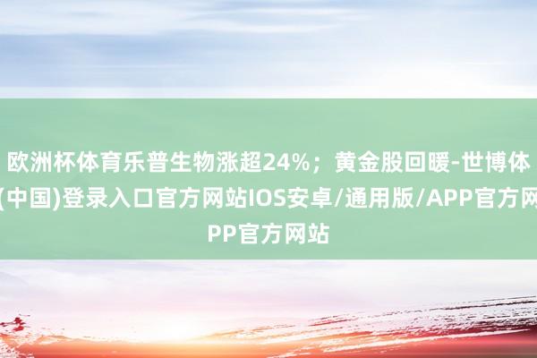 欧洲杯体育乐普生物涨超24%;黄金股回暖-世博体育(中国)登录入口官方网站IOS安卓/通用版/APP官方网站